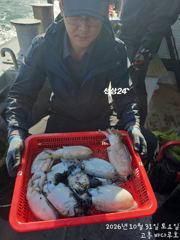 [고흥 바다루호] 10월31일 갑오징어낚시 조황입니다.