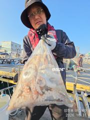 삼천포 마린보이 10. 31. 주간문어 뜯고 왔습니다.
