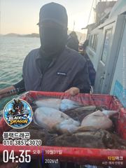 [사천] 10/31 블랙드래곤 갑오징어 꾸준히 ^^