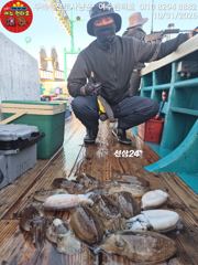 10.31일 신발짝 갑오징어 조황 올립니다 2일 월요일 예약가능 합니다