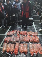 야간돌문어 스타트!! 조황 좋습니다.