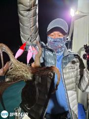 야간문어 덩치급들부터 망태기 빵빵기